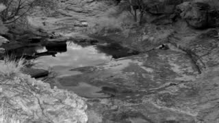 Still 2 from this detection
