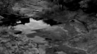 Still 2 from this detection