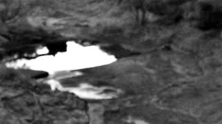 Still 1 from this detection