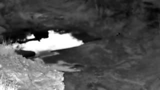 Still 3 from this detection