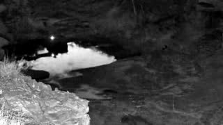 Still 1 from this detection