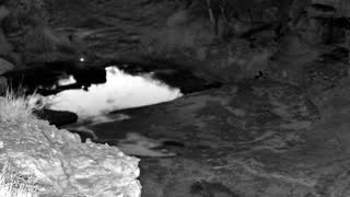 Still 2 from this detection