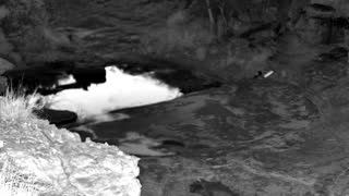 Still 1 from this detection