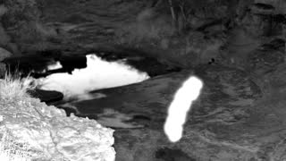 Still 2 from this detection