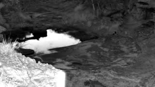 Still 1 from this detection