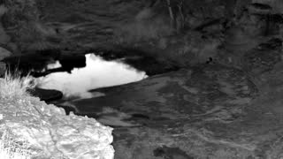 Still 2 from this detection