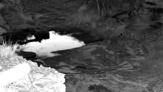 Still 2 from this detection