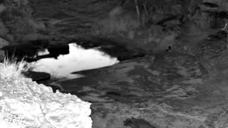 Still 2 from this detection