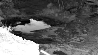 Still 1 from this detection