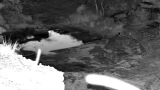 Still 2 from this detection