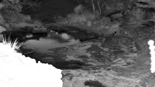 Still 2 from this detection