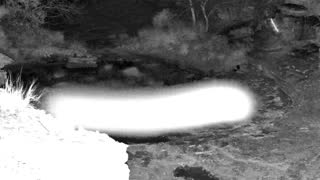 Still 1 from this detection