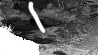 Still 2 from this detection