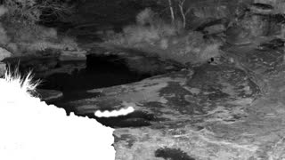 Still 3 from this detection