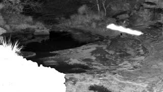 Still 1 from this detection