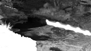 Still 3 from this detection