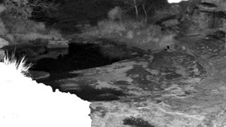 Still 2 from this detection