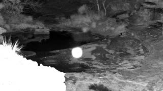 Still 2 from this detection