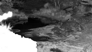 Still 1 from this detection