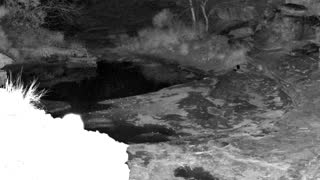Still 3 from this detection