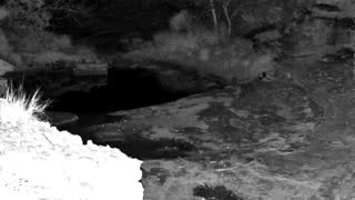 Still 1 from this detection