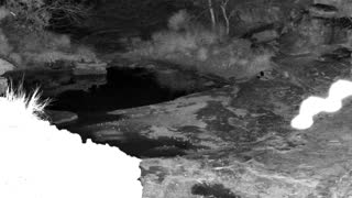 Still 2 from this detection