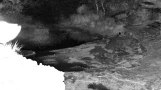 Still 1 from this detection