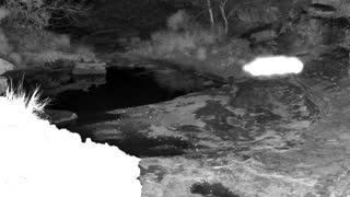 Still 1 from this detection