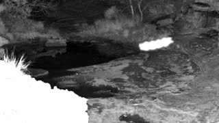 Still 2 from this detection