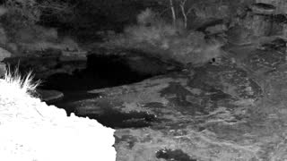 Still 1 from this detection