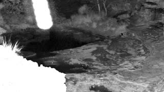 Still 1 from this detection