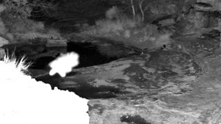 Still 1 from this detection