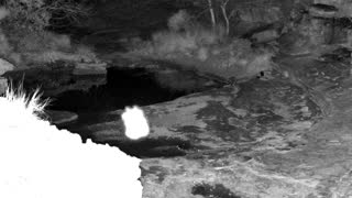 Still 1 from this detection