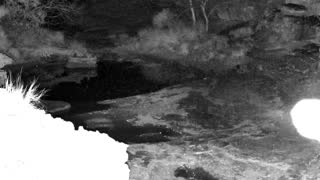 Still 1 from this detection