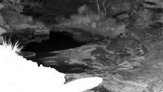Still 2 from this detection