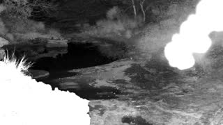 Still 1 from this detection