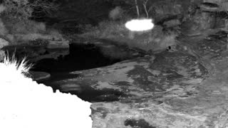 Still 2 from this detection