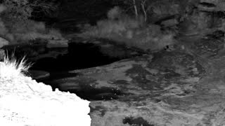 Still 3 from this detection