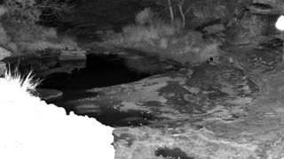 Still 1 from this detection