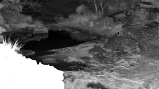 Still 2 from this detection