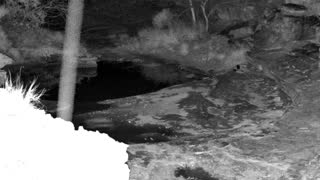 Still 2 from this detection