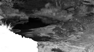 Still 2 from this detection