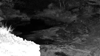 Still 1 from this detection