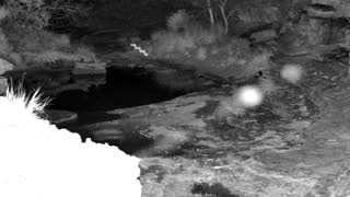 Still 1 from this detection