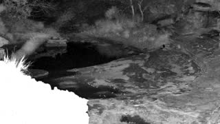 Still 2 from this detection