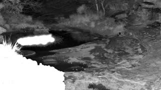 Still 1 from this detection