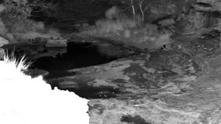 Still 1 from this detection