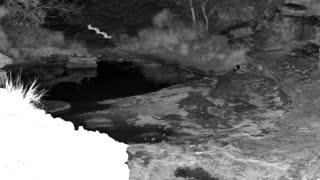 Still 1 from this detection
