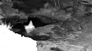 Still 2 from this detection