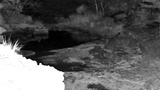 Still 1 from this detection